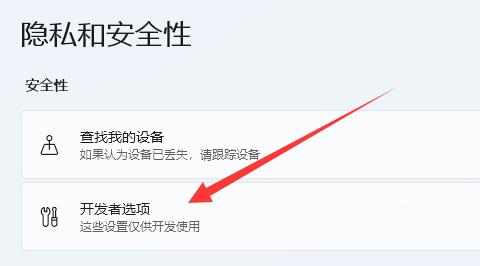 Win11怎么开启开发者模式 Win11开启开发者模式方法