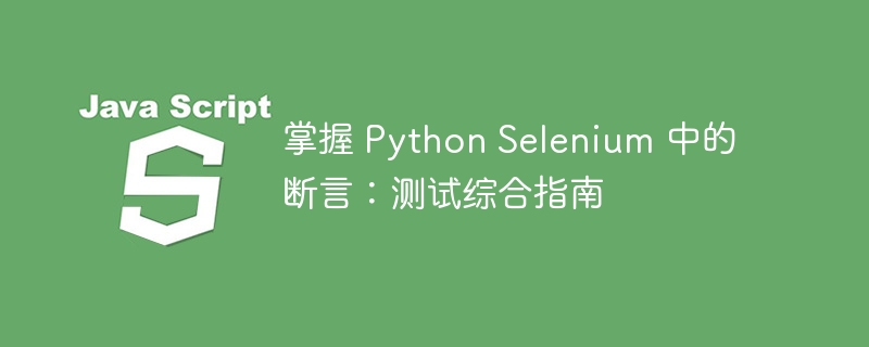 掌握 Python Selenium 中的断言:测试综合指南