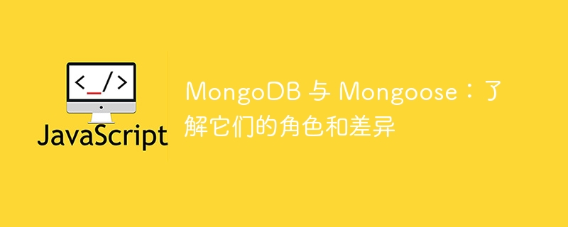 MongoDB 与 Mongoose:了解它们的角色和差异