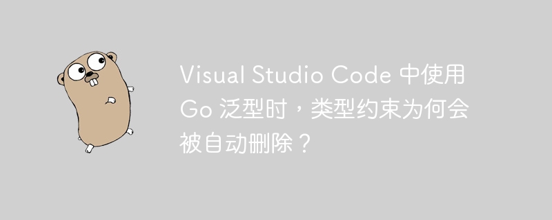Visual Studio Code 中使用 Go 泛型时，类型约束为何会被自动删除？