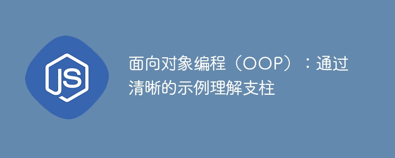 面向对象编程(OOP):通过清晰的示例理解支柱