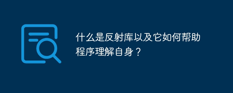什么是反射库以及它如何帮助程序理解自身?