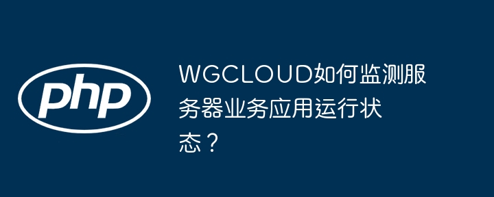 WGCLOUD如何监测服务器业务应用运行状态?