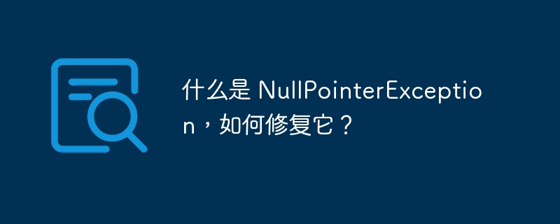 什么是 NullPointerException,如何修复它?