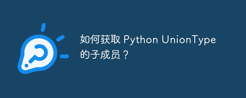 如何获取 Python UnionType 的子成员?
