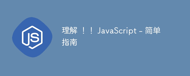 理解 !! JavaScript - 简单指南