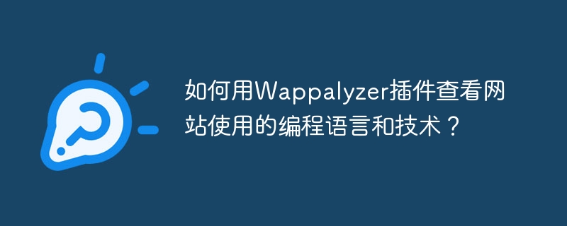 如何用Wappalyzer插件查看网站使用的编程语言和技术？