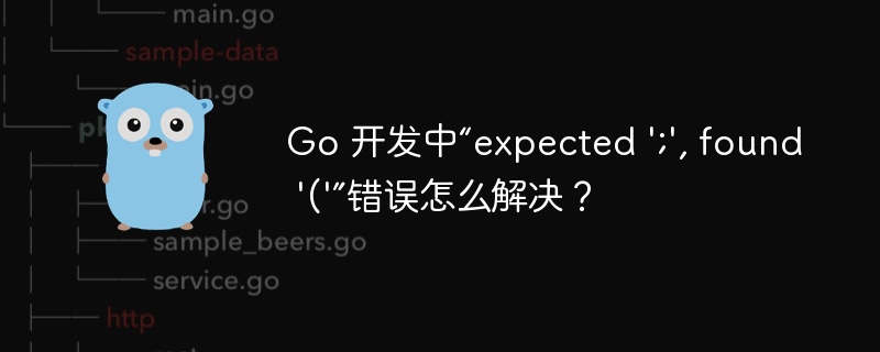 Go 开发中“expected ';', found '('”错误怎么解决?