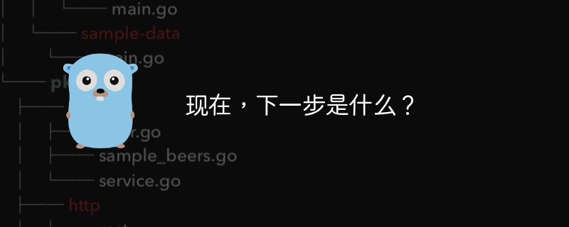 现在,下一步是什么?