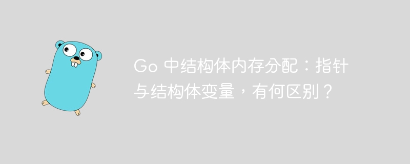 Go 中结构体内存分配:指针与结构体变量,有何区别?