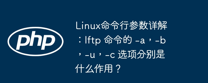 Linux命令行参数详解:lftp 命令的 -a,-b,-u,-c 选项分别是什么作用?