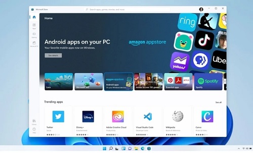 Win11开始菜单能靠左吗 Win11开始菜单能不能靠左详细介绍
