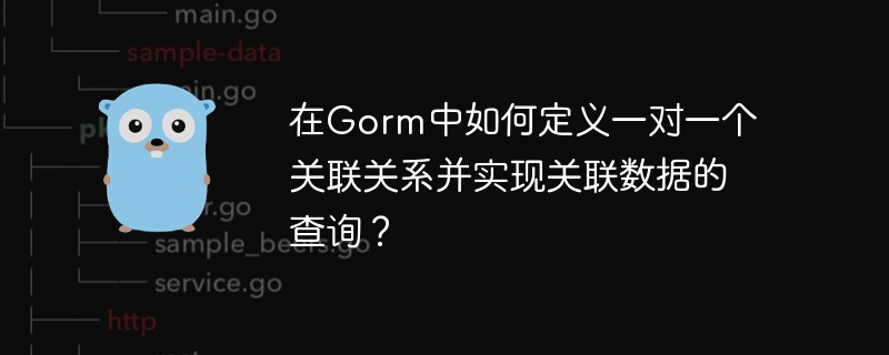 在Gorm中如何定义一对一个关联关系并实现关联数据的查询?