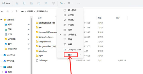 Win11怎么查看隐藏文件 Win11查看隐藏文件的方法