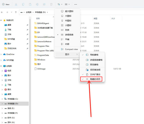 Win11怎么查看隐藏文件 Win11查看隐藏文件的方法