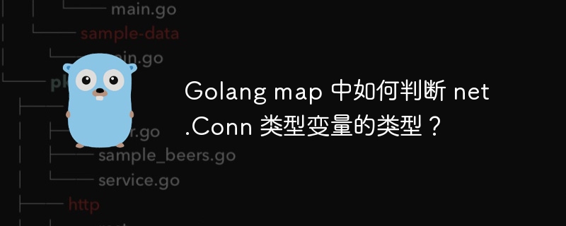 Golang map 中如何判断 net.Conn 类型变量的类型?