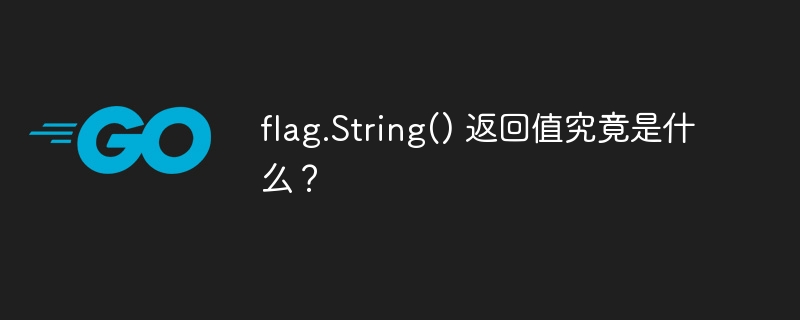 flag.String() 返回值究竟是什么?