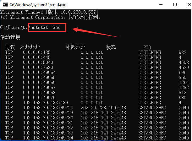 Win11怎么查找指定端口信息 Win11查找指定端口信息的技巧