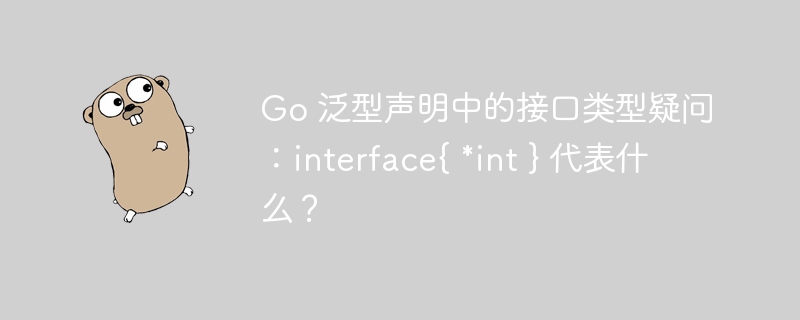 Go 泛型声明中的接口类型疑问:interface{ *int } 代表什么?