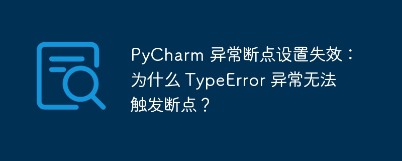 PyCharm 异常断点设置失效:为什么 TypeError 异常无法触发断点?