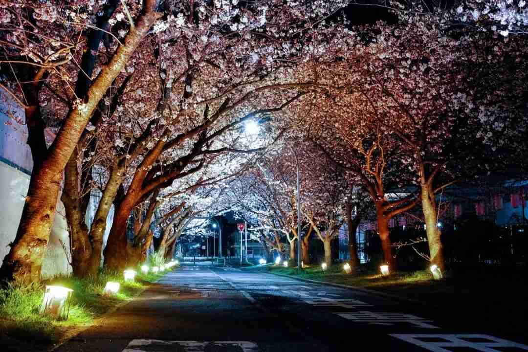 夜景拍得不好看,很可能是画面不够干净