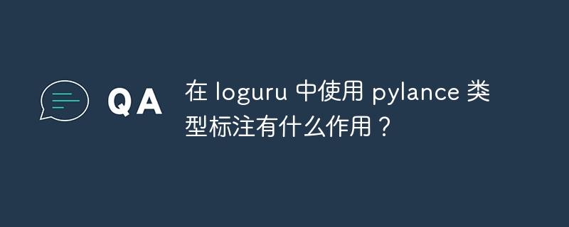 在 loguru 中使用 pylance 类型标注有什么作用?