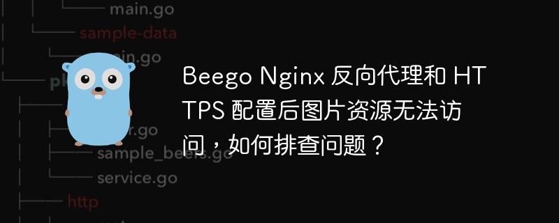 Beego Nginx 反向代理和 HTTPS 配置后图片资源无法访问,如何排查问题?