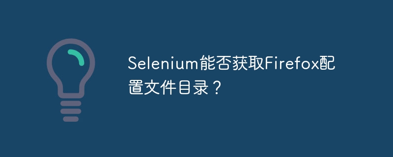 Selenium能否获取Firefox配置文件目录?
