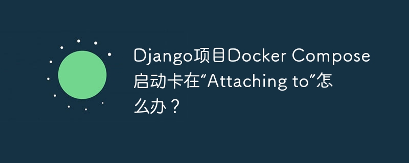 Django项目Docker Compose启动卡在“Attaching to”怎么办?