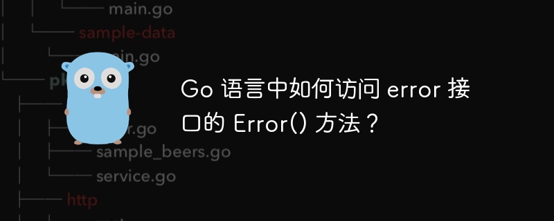 Go 语言中如何访问 error 接口的 Error() 方法?