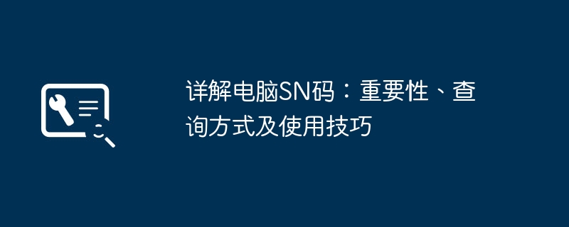 详解电脑SN码:重要性、查询方式及使用技巧