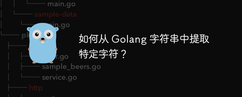 如何从 Golang 字符串中提取特定字符?