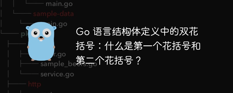 Go 语言结构体定义中的双花括号：什么是第一个花括号和第二个花括号？