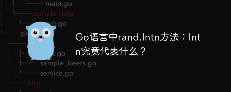 Go语言中rand.Intn方法:Intn究竟代表什么?