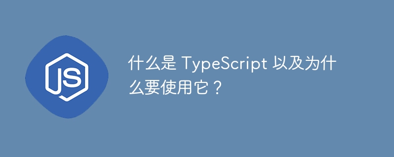 什么是 TypeScript 以及为什么要使用它?