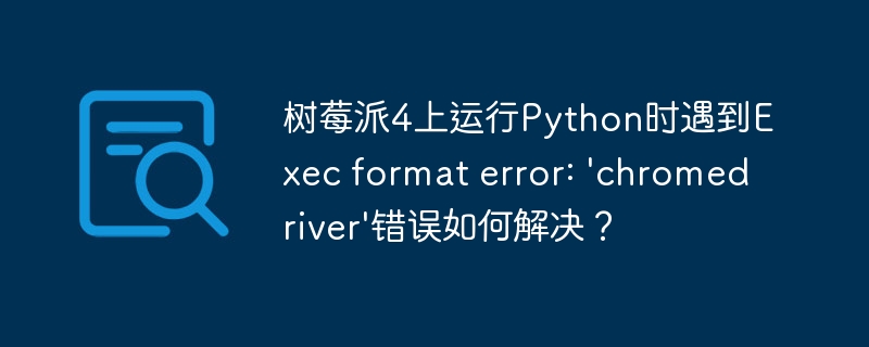 树莓派4上运行Python时遇到Exec format error: 'chromedriver'错误如何解决?