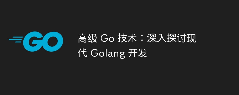 高级 Go 技术:深入探讨现代 Golang 开发