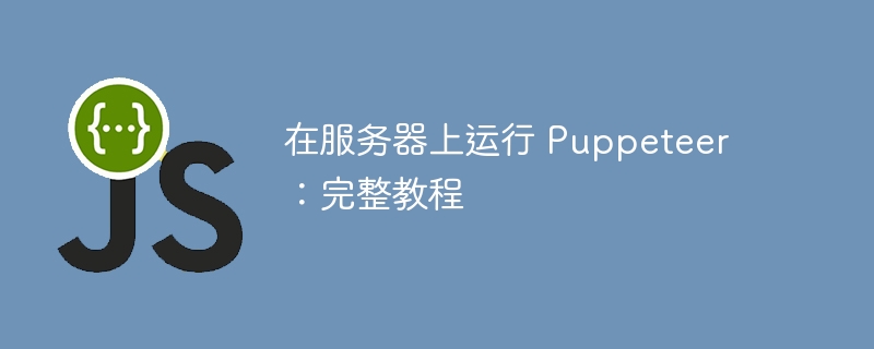 在服务器上运行 Puppeteer:完整教程