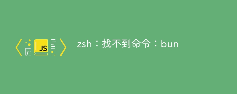 zsh:找不到命令:bun