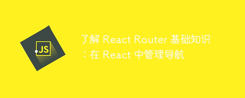了解 React Router 基础知识:在 React 中管理导航