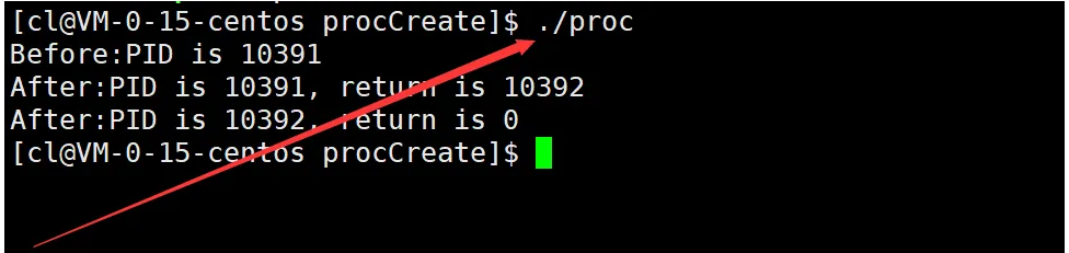 深入理解Linux中进程控制(精讲)