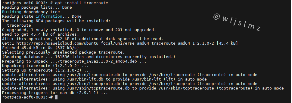 老板让我在Linux中使用traceroute排查服务器网络问题,幸好我收藏了这篇文章!