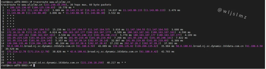 老板让我在Linux中使用traceroute排查服务器网络问题,幸好我收藏了这篇文章!