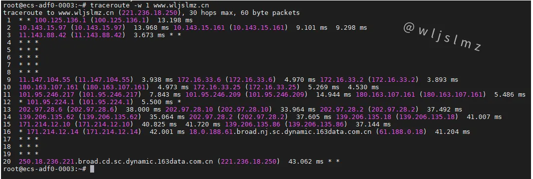 老板让我在Linux中使用traceroute排查服务器网络问题,幸好我收藏了这篇文章!