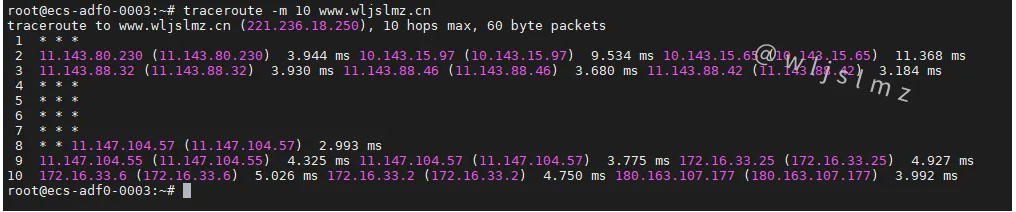 老板让我在Linux中使用traceroute排查服务器网络问题,幸好我收藏了这篇文章!