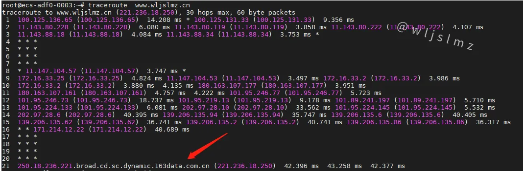 老板让我在Linux中使用traceroute排查服务器网络问题,幸好我收藏了这篇文章!