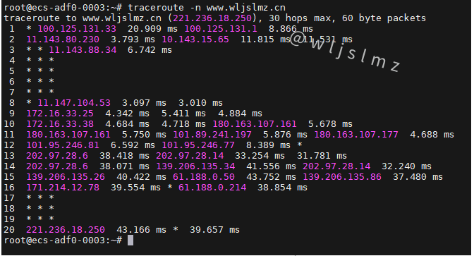 老板让我在Linux中使用traceroute排查服务器网络问题,幸好我收藏了这篇文章!