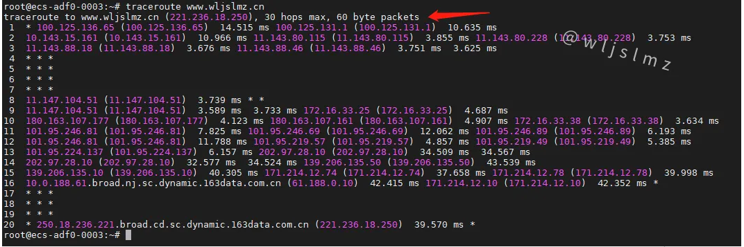 老板让我在Linux中使用traceroute排查服务器网络问题,幸好我收藏了这篇文章!