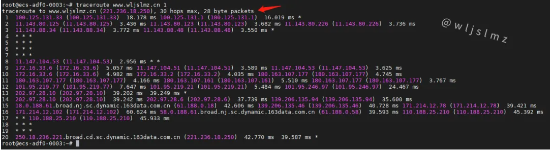 老板让我在Linux中使用traceroute排查服务器网络问题,幸好我收藏了这篇文章!