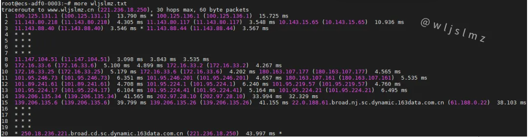 老板让我在Linux中使用traceroute排查服务器网络问题,幸好我收藏了这篇文章!
